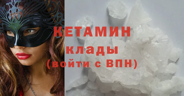 прущие грибы Гусиноозёрск