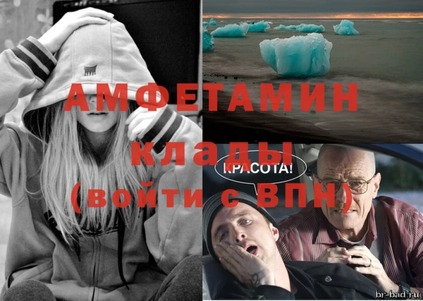 прущие грибы Гусиноозёрск