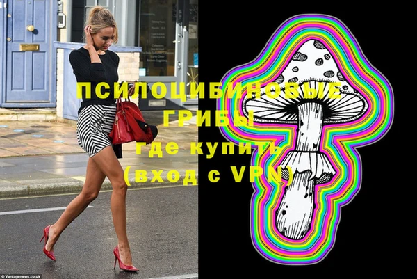 прущие грибы Гусиноозёрск