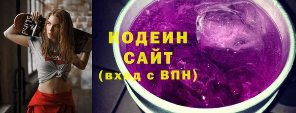 прущие грибы Гусиноозёрск