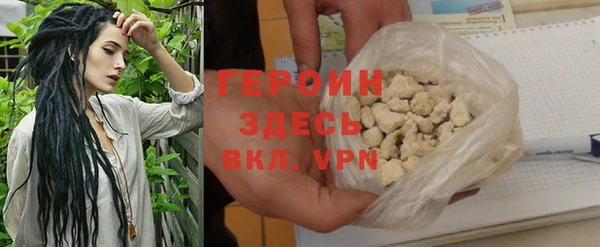прущие грибы Гусиноозёрск