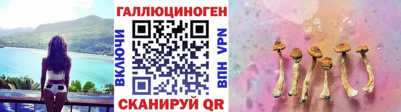 Купить  Черемхово  Галлюциногенные грибы Cubensis 